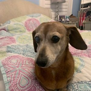 Meet your Posher, Jeff